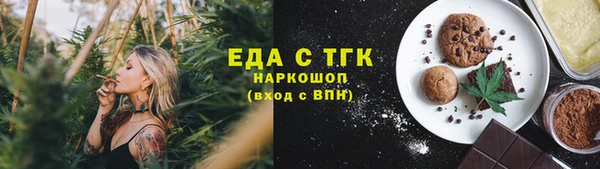 мдпв Богородск
