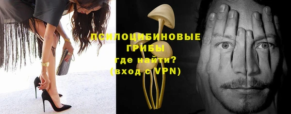 apvp Бородино