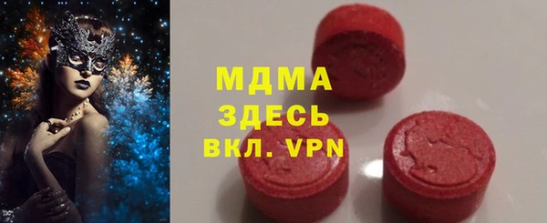 молекула духа Богородицк