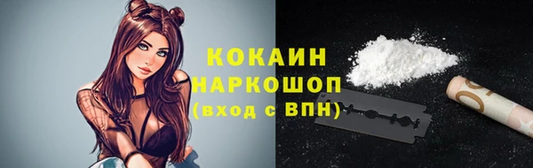 молекула духа Богородицк
