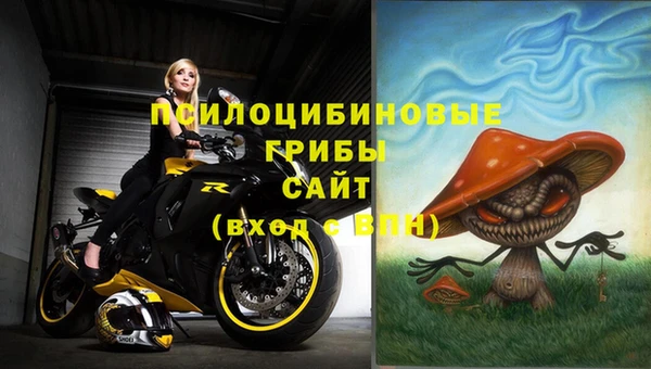 мдпв Богородск
