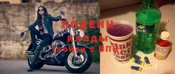 мдпв Богородск