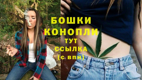 мдпв Богородск