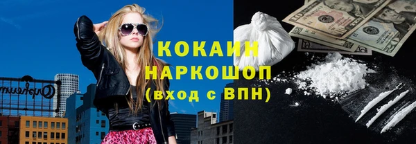 молекула духа Богородицк