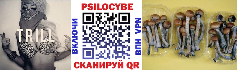 МЕГА ONION  Волосово  Галлюциногенные грибы Psilocybine cubensis 